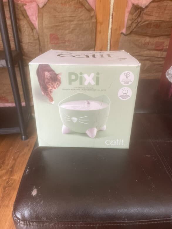 Cat Bowl