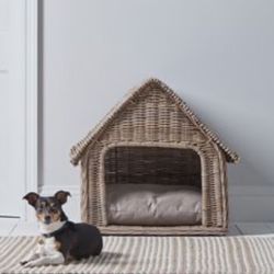 Dog Bed (Small Or Medium )$33