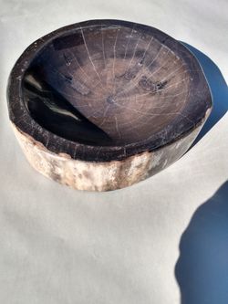 Petrified Wood Bowl/Ashtray, Center Piece , Over 6 Lb , Size : 8" X2.5 " Inches