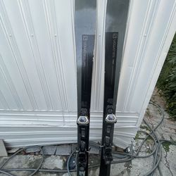 Salomon skiis
