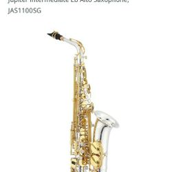 I Sell Alto Saxophone JAS1100SG