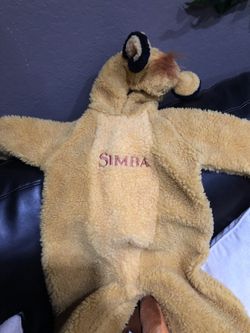Lion King costume