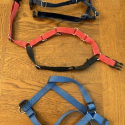 Dog Harness (small)- Set Of 3 