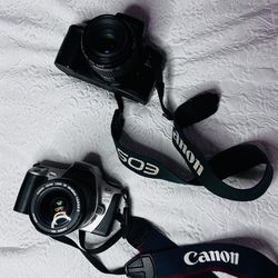Cannon Film Cameras 