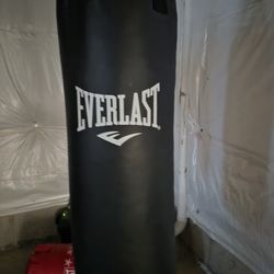 Everlast 70lb NEW Punching Bag
