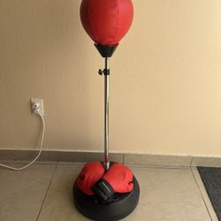 Punching Bag