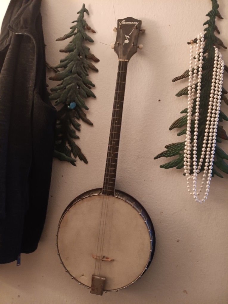 19 fret, 4 String Plectrum HARMONY BANJO