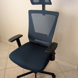 Ergonomic Desk Chair
