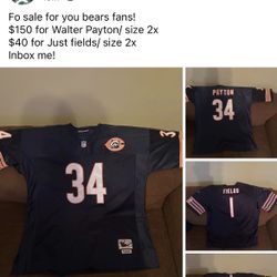 Bears Fans 