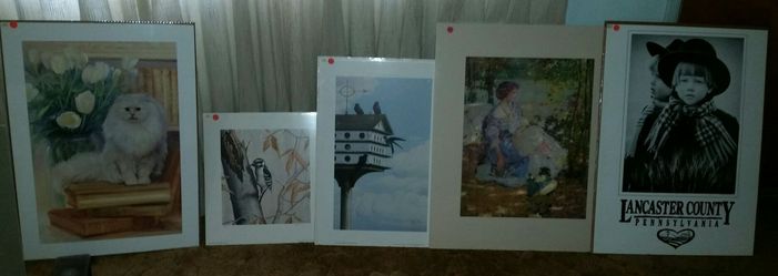 Art Prints & Posters