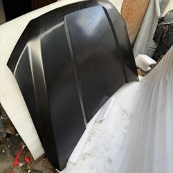 2015-2020 F150 Hood 