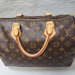 Louis Vuitton Handbag