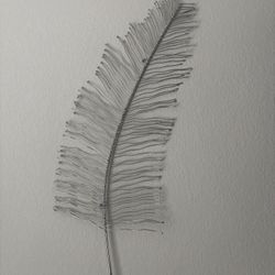 Feather Wall Decor 