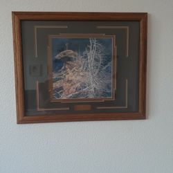 Bev Doolittle Artwork 