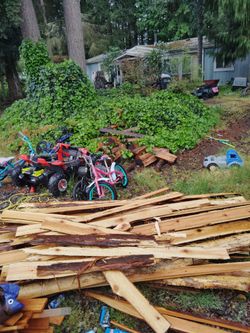 Cedarwood mixed