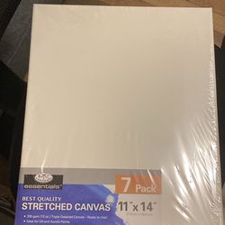7 Pack Stretched Canvases 