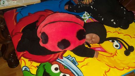Anne geddes sleeping ladybug doll SERIOUS INQUIRIES ONLY PICK UP ONLY