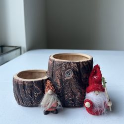 succulent pot/plant holder