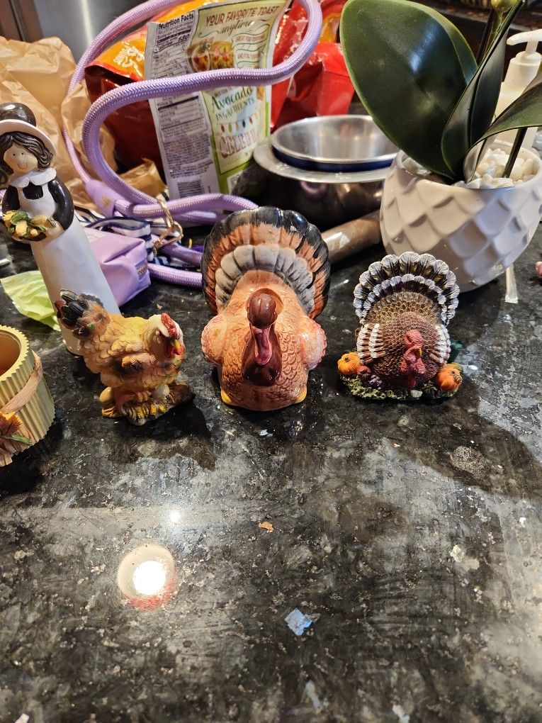 Beautiful 9 Piece Set For Harvest Decor 