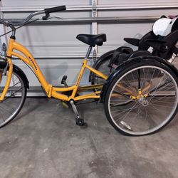 Adult + Child Tricycle