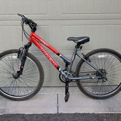 Trek Mountain Bike