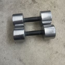 Ventage Rebook Soft Grip  20Lb Pound Chrome Dumbell Weight 