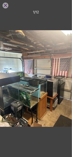 Lots of aquariums for sale