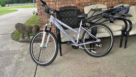 1 adult bikes