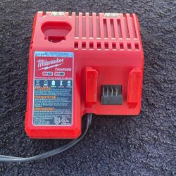 Milwaukee Dual Battery Charger 