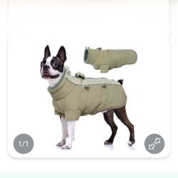 Dog Coat