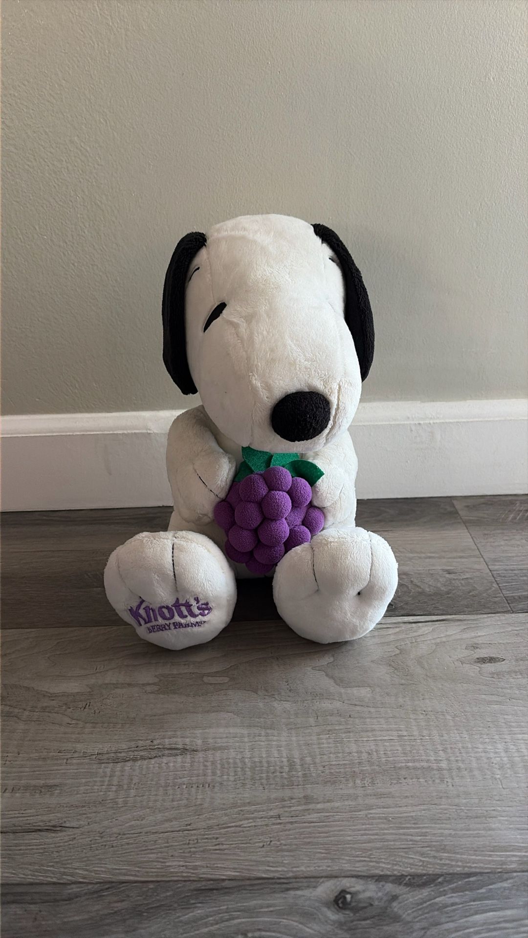Snoopy Knotts Berry Farm Plush