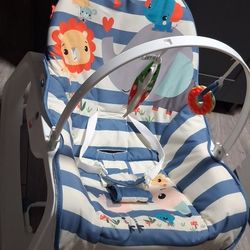 Newborn To Toddler Rocker/ Perfect Condition 