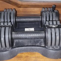 Adjustable Free Weights