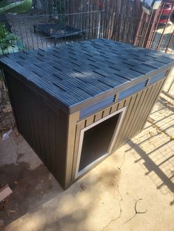 Large Outdoor dog house