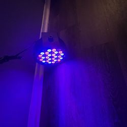 Party Light