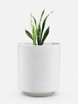 Mid Century Modern White Glazed Ceramic Planter, c.1960's - Delivery Available