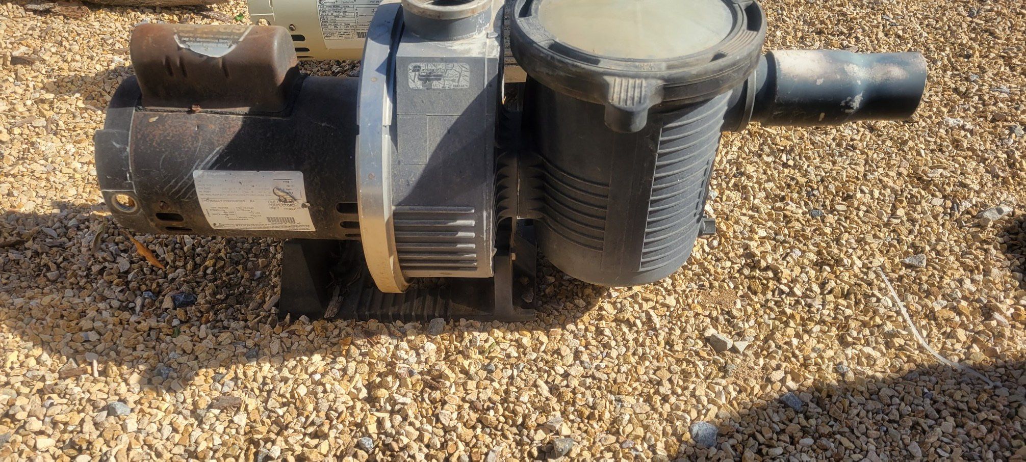 Pool pump and motor 1 hp