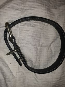 26” dog collar