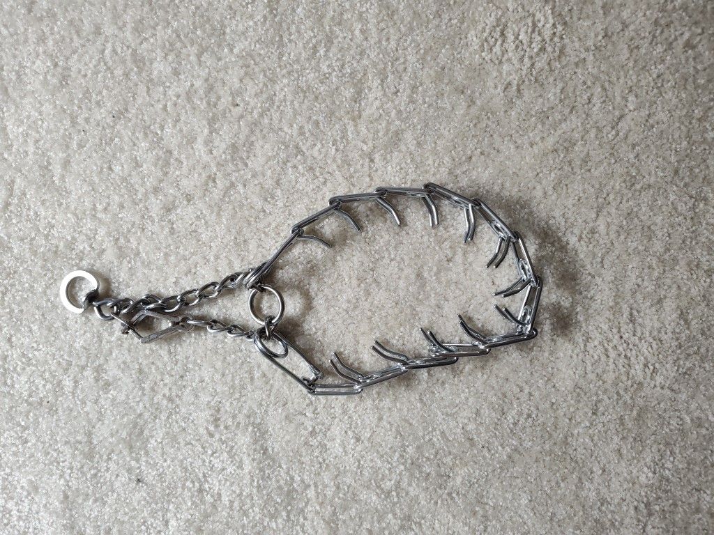 Large Prong Collar