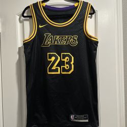 Lebron Lakers Jersey Nike