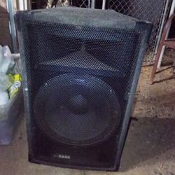 Bass Speaker
