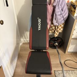Bench Press