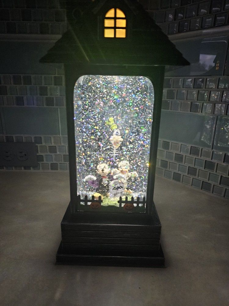 Haunted House Goofy Mickey Mouse Donald Duck One Foot High Little Sound Effect Sparkles That Float Lights Up With Batteries Included $20 Cash