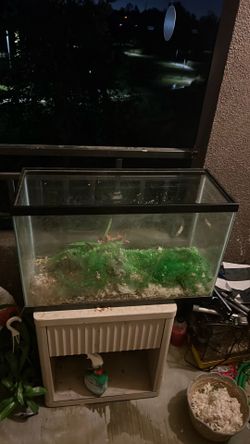 Fish/ reptile aquariums