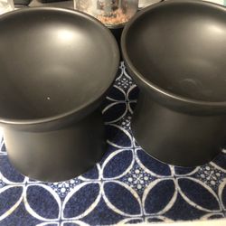 Standing Cat Bowls Elevated 15$