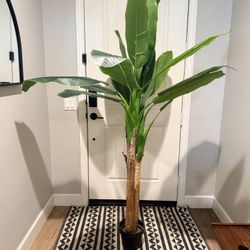 Faux Banana Tree/plant