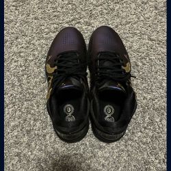 Kobe 5 Egg Plant (brand New)