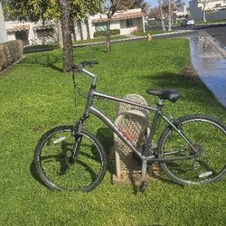 Giant Commuter Bike
