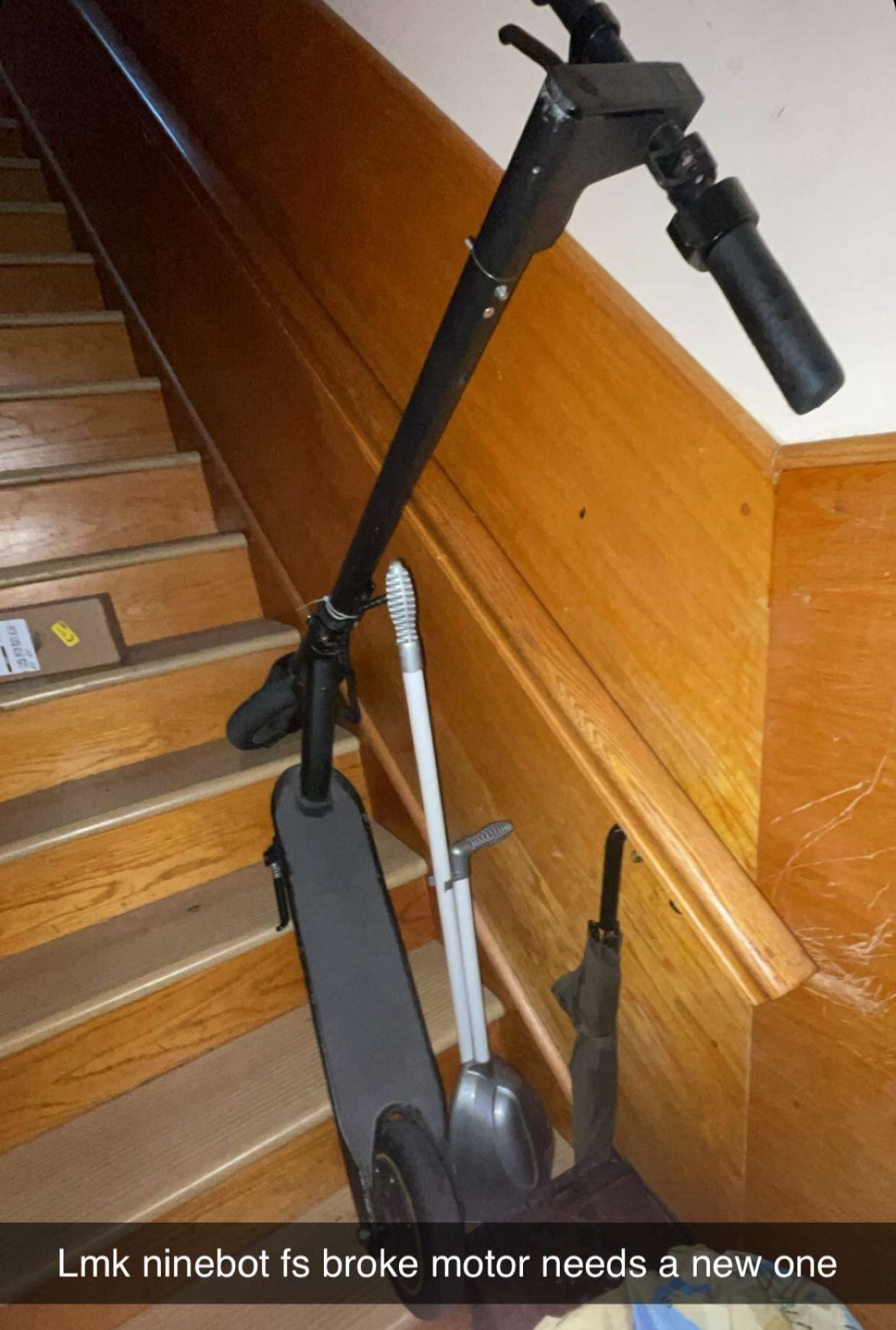 Ninebot G30