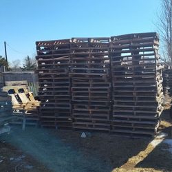 Wood Pallets 